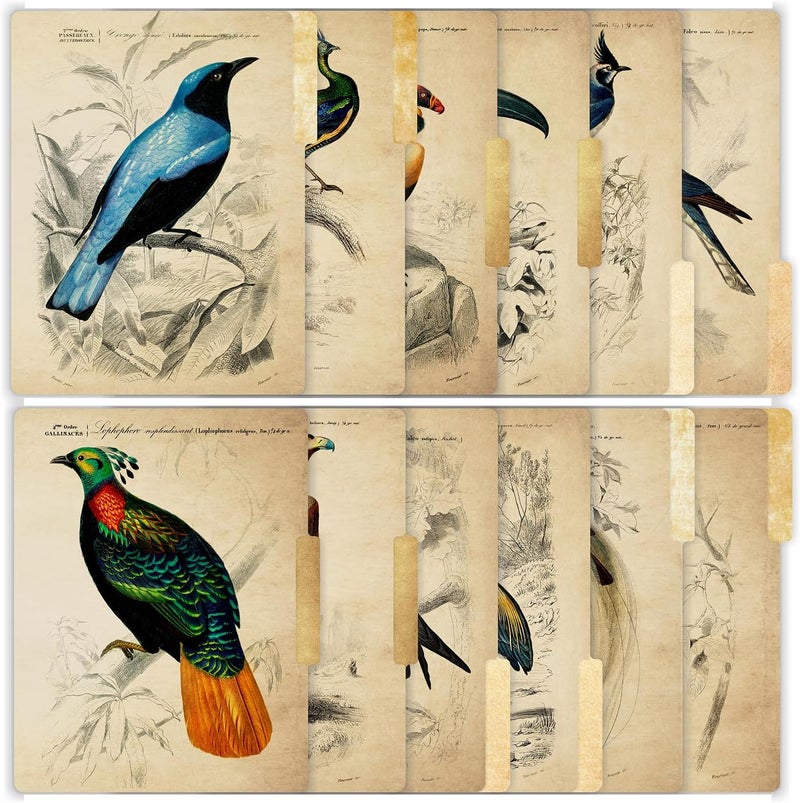PARTH IMPEX 12 Pack Decorative File Folders, 1/3 Cut Tab with Assorted Positions, Letter Size Paper Holders (9.75” x 11.75”) Matte Finish Laminated for Office School Work - Vintage Birds Design - Image 3